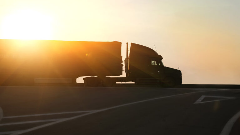 2 11 Januari: Kalldusch för omställningen av lätta och tunga lastbilar