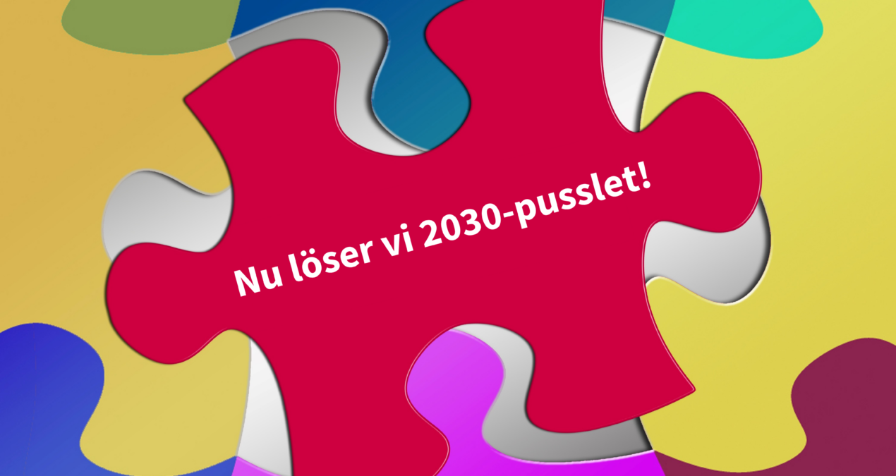 2030-pusslet