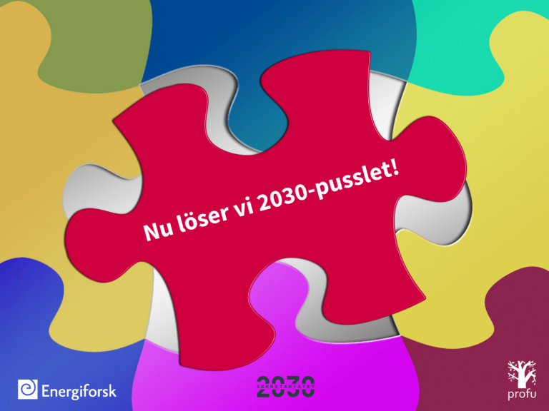 pussel 2030-pusslet