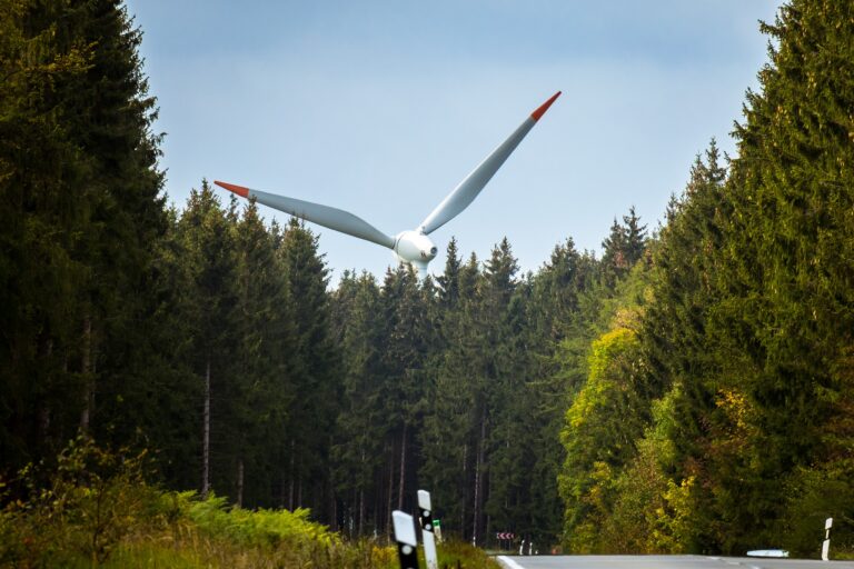 vindkraftverk skog väg Summerande underlag till regeringen i arbetet med den klimatpolitiska handlingsplanen