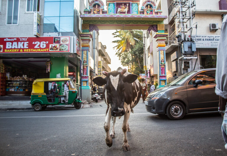 ko trafik indien Fokusland 2024–2026 presenterade: Indien, Norge och Ukraina i fokus för 2030-sekretariatet