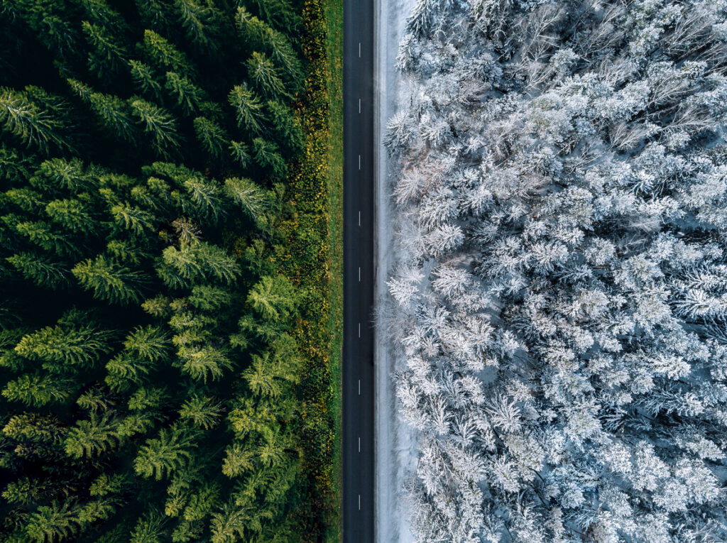 skog vag vinter sommar Klimatåret 2024 – Höjdpunkter på väg mot 2030-målet