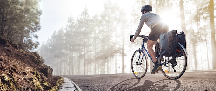 cykel natur skog vag Styr för ökad cykling, regeringen!