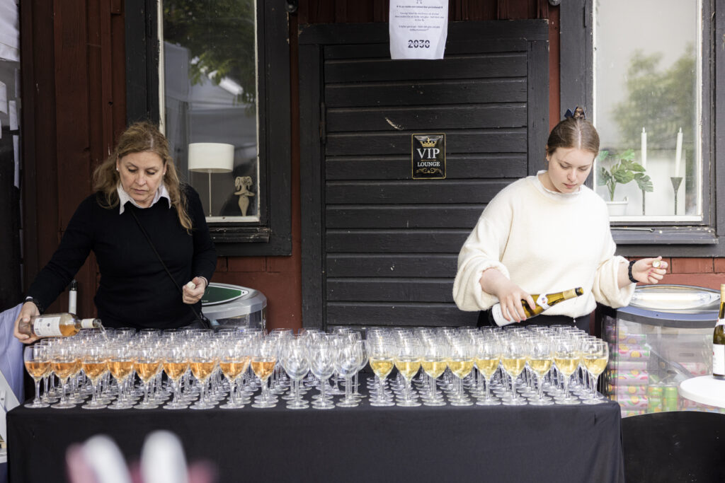 450A6410 1 2030-sekretariatets mingel från Almedalen 2025