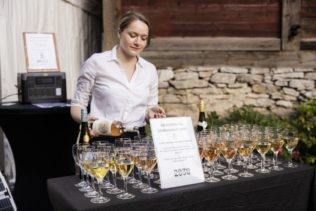 450A6436 1 2030-sekretariatets mingel från Almedalen 2025